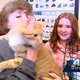 Illustration for article titled The Most Beautiful Modern Art: News Chyrons Featuring Cats